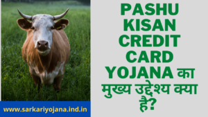 Pashu Kisan Credit Card 