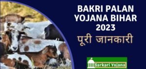 Bakri Palan Yojana Bihar 2023 – बिहार बकरी पालन योजना
